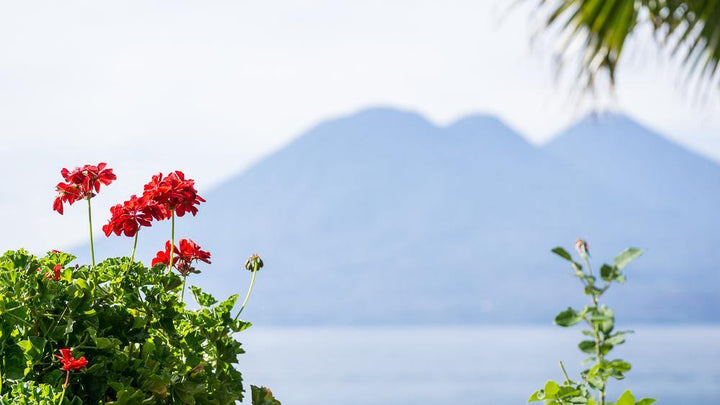 Travel |  Lake Atitlan & Meeting Our Artisan Partners - Kala Home